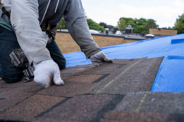 Best Shingle Roofing Installation  in Roseville, OH