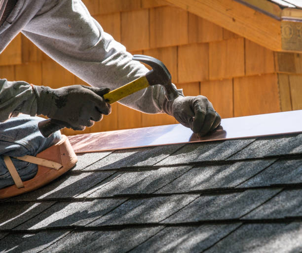 Best Roof Gutter Cleaning  in Roseville, OH